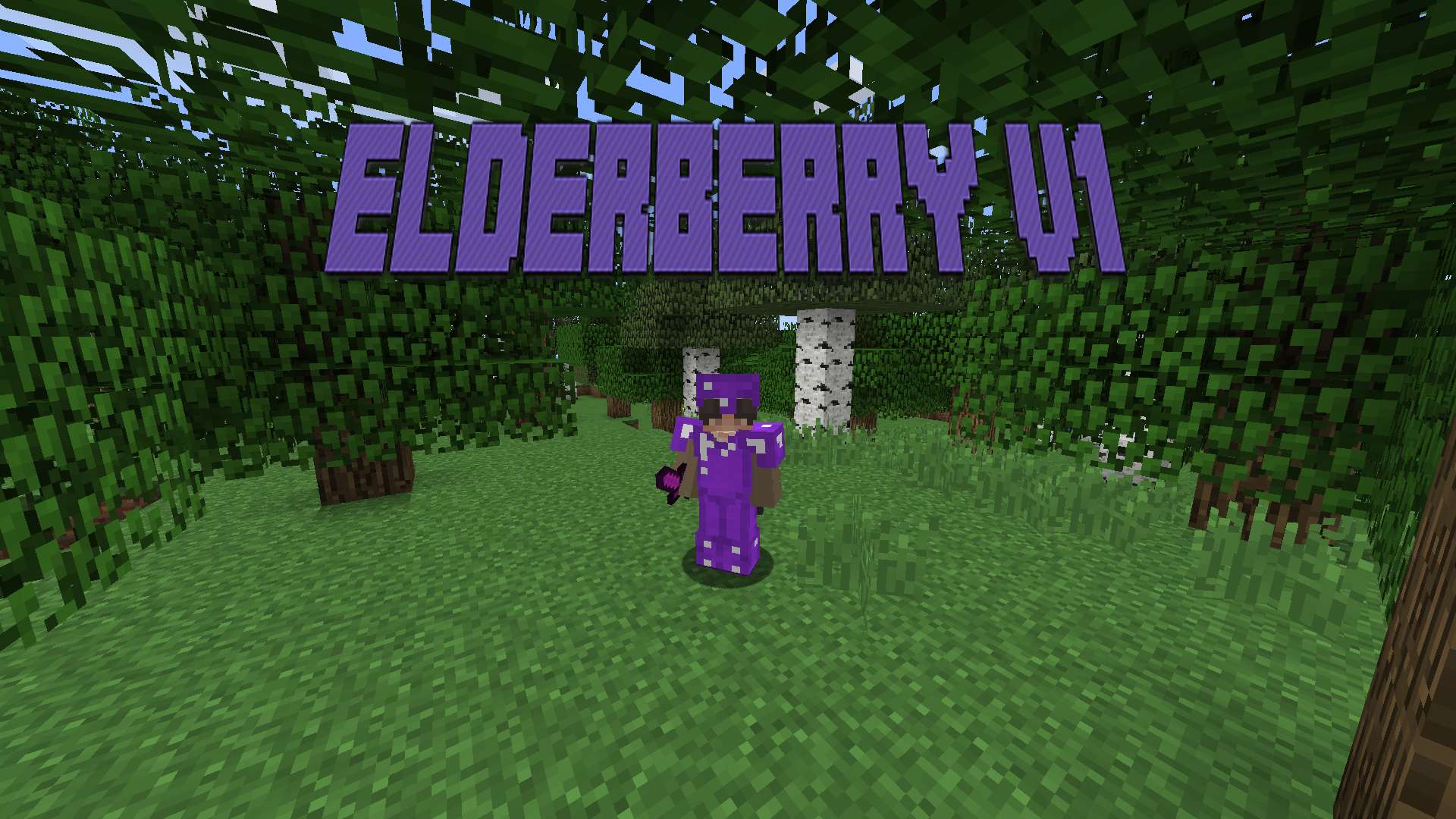 Elderberry V1 16x by Talcility on PvPRP